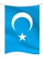 Doğu Türkistan Bayrağı 50 x 75 cm 1