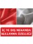 Slovakya Ülke Bayrağı Parlak Kumaş 50 x 75 cm 4