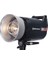 Elc Pro Hd 1000 Flash Head 1