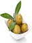 Tüplü İçi Doldurulabilen Sarı Ulak Zeytin Fidanı 1