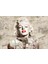 Marilyn Monroe Özel Tasarım Duvar Kağıdı 2
