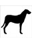 Köpek Folyo Sticker 60 90 cm Uzunluk 1