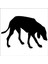 Köpek Folyo Sticker 47 90 cm Uzunluk 1