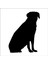 Köpek Folyo Sticker 53 80 cm Uzunluk 1