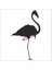 Filamingo Folyo Sticker 89 80 cm Uzunluk 1