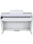 BL-8808 Ha-Wh Hammer Action Dijital Piyano 1