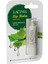 Bitkisel Dudak Koruyucu Aloe Vera Lip Balm 1