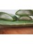 Aloe Vera Fidan 30-40 cm Saksılı 5