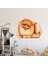 Kt Decoration Turuncu Sevimli Fino Köpeği Duvar Sticker 1