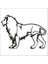 Aslan Folyo Sticker 8 40 cm Uzunluk 1