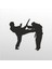 Folyo Sticker Taekwondo 101 20 cm Uzunluk 1