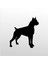 Folyo Sticker Pitbull 160 cm Uzunluk 1