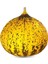 Kavun Tohumu Kırkağaç 637 – 25 g ~ Takribi 350 Tohum 1