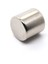 2 Adet 20 x 20 mm Yuvarlak Güçlü Neodyum Mıknatıs Çap 20 mm Kalınlık 20 mm 3