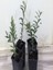 20'li Saksılı Tam Bodur Arbequina Zeytin Fidanı 1 Yaş - 30-60 Cm 1