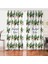 Çift Kanat Beatiful Cactus Baskılı Dijital Salon Fon Perdesi 1