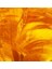 Mirage Amber Bp KP09-02-BP 3