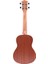 RU-01C Concert Ukulele 2