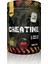 Creatine 300 gr Vişne Aromalı 1