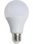 9 W Beyaz LED Ampül 1