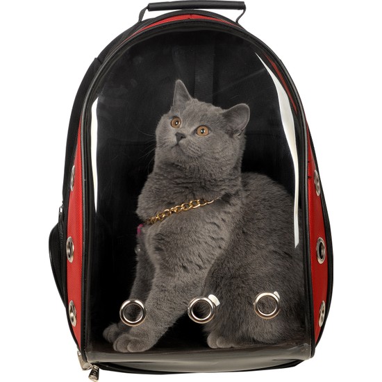 Tropheus Çanta Şeffaf Astronot Kırılmaz Kedi Köpek Taşıma Fiyatı