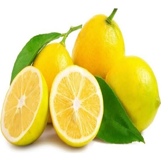 Reyon Ermenek Tüplü Aşılı Yarı Bodur Verimli Yediveren Limon Fidanı