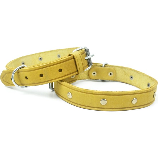 Bayz 60 cm Köpek Tasması Sağlam Golden, Labrador, Sibirya, Fiyatı