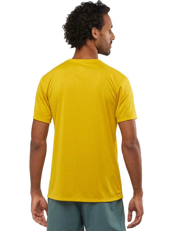 salomon agile graphic