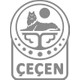 Seçili Renk Gümüş
