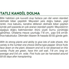 Agro Tohum Ata Tohumu Tatlı Kandil Dolma Biberi 1 gr 100 Adet