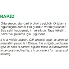 Agro Tohum Doğal Yerli Brokoli Çeşit Rapid 5 gr