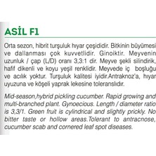 Agro Tohum Asil F1 Hybrit Kornişon Hıyar Tohumu 10 gr