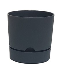 Poliwork Begonya 15 cm Antrasit Tabaklı Saksı