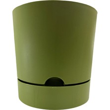 Poliwork Begonya 9 cm Yeşil Tabaklı Saksı