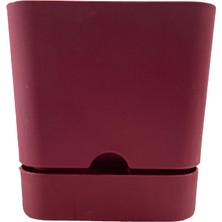 Poliwork Begonya 16 cm Bordo Kare Tabaklı Saksı