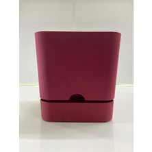 Poliwork Begonya 16 cm Bordo Kare Tabaklı Saksı