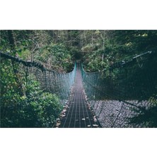 Eko Dekor 3 Boyutlu Asma Köprü Duvar Kağıdı  Kanvas Tek Parca