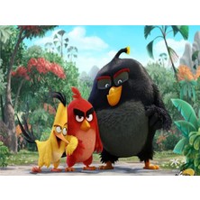 Eko Dekor Angry Birds Çocuk Odası Duvar Kağıdı Vinil