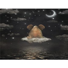 Eko Dekor Bulutlar Üzerindeki Fil ve Bulut Yıldız Ay Çocuk Odası Duvar Kağıdı  Kanvas Tek Parca