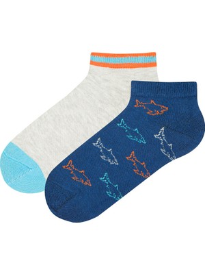Penti Çok Renkli Erkek Çocuk  Blue Sharks 2li Patik Çorap