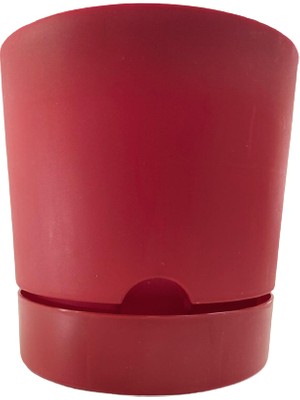 Poliwork Begonya 15 cm Bordo Tabaklı Saksı