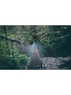 Eko Dekor 3 Boyutlu Asma Köprü Duvar Kağıdı  Kanvas Tek Parca