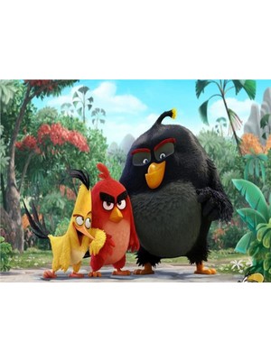 Eko Dekor Angry Birds Çocuk Odası Duvar Kağıdı  Kanvas Tek Parca