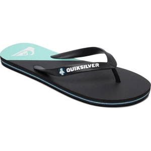 Quıksılver Molokaı New Wav Erkek Terlik