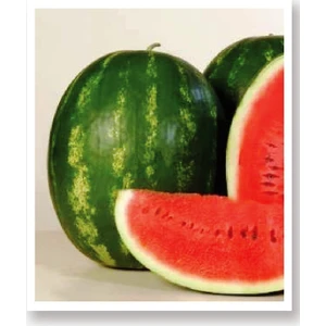 Agro Tohum Ata Tohumu Doğal Diyarbakır Kapruzu 1 gr 25 Adet Tohum