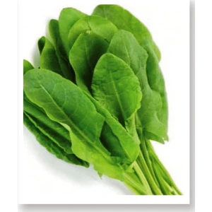 Agro Tohum Ata Tohumu Yerli Kuzukulağı Gürsel 1 gr 1000 Adet Tohum