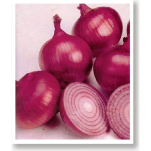 Agro Tohum Yerli Doğal Mor Soğan Ata 10 gr