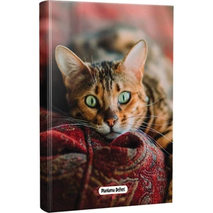 Halk Kitabevi Şaşkın Planlama Defteri 13.5 x 19.5 cm