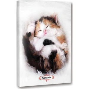 Halk Kitabevi Uykucu Kedi Planlama Defteri 13.5 x 19.5 cm