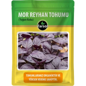 Mor Reyhan Tohumu 30'lu